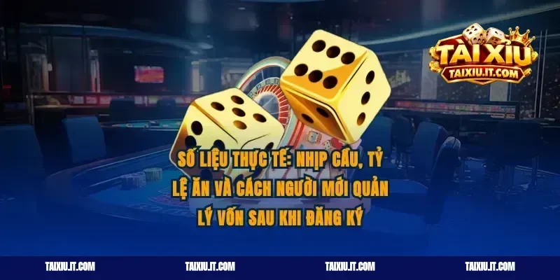 Số liệu thực tế: nhịp cầu, tỷ lệ ăn và cách người mới quản lý vốn sau khi đăng ký