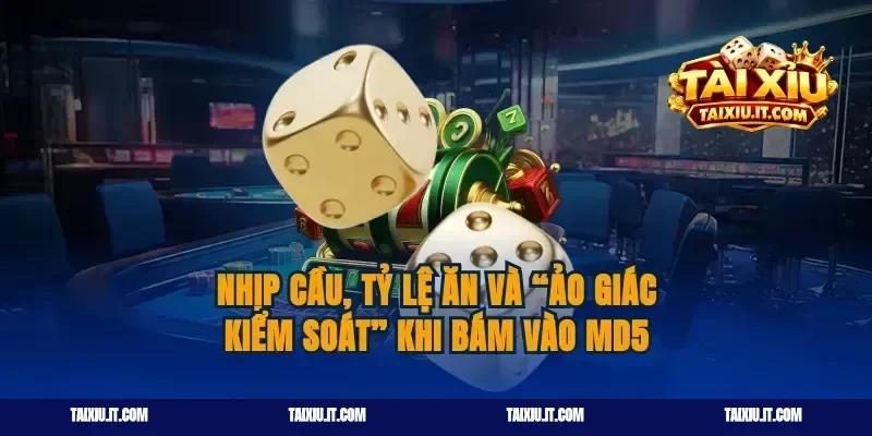 Nhịp cầu, tỷ lệ ăn và “ảo giác kiểm soát” khi bám vào MD5