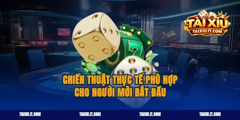 Chiến thuật thực tế phù hợp cho người mới bắt đầu
