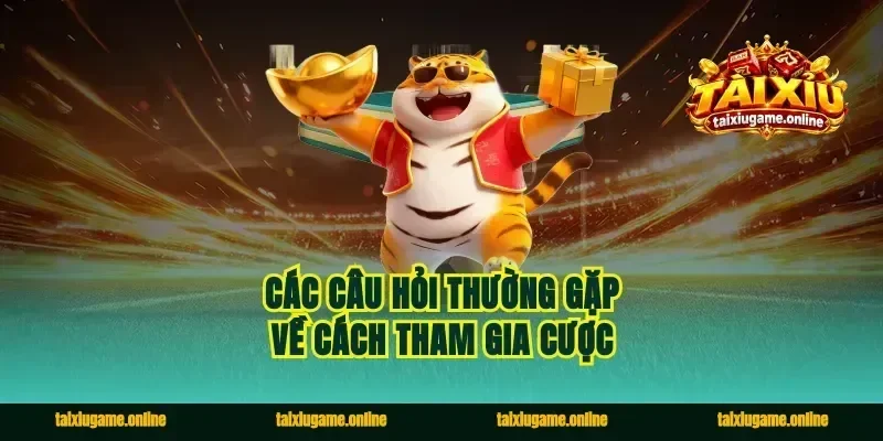 Các câu hỏi thường gặp về cách tham gia cược