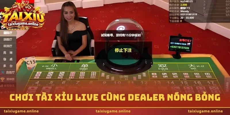 Chơi tài xỉu live cùng dealer nóng bỏng