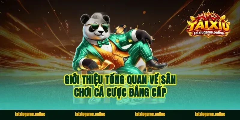 Giới thiệu tổng quan về sân chơi cá cược đẳng cấp